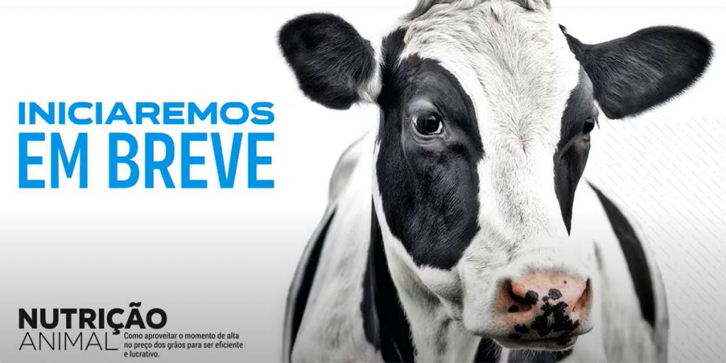 Castrolanda promove Webinar Nutrição Animal