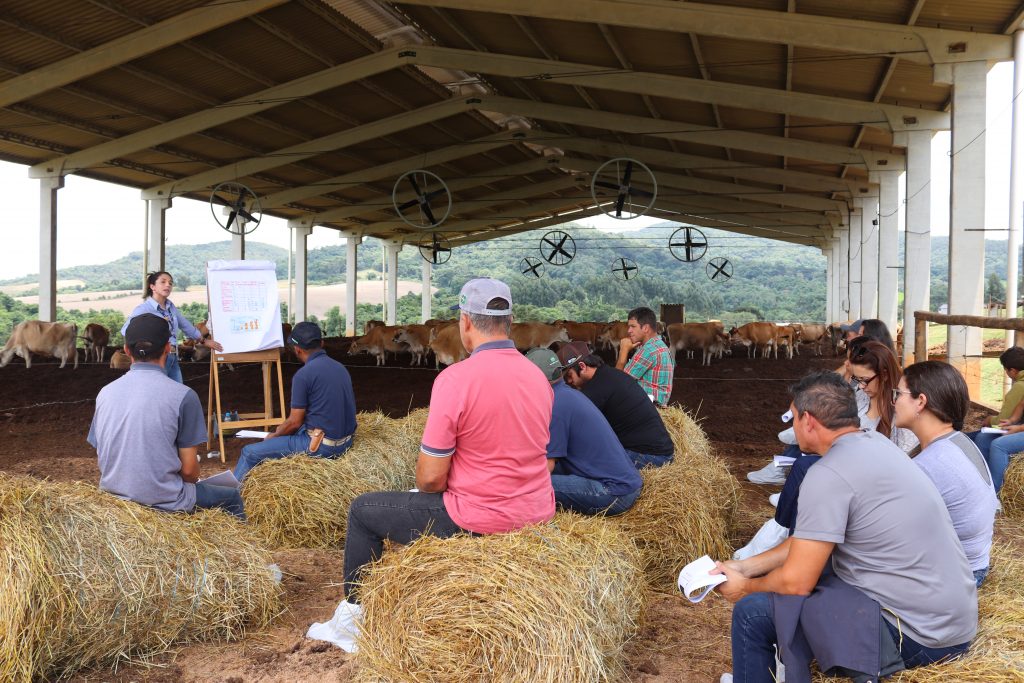 Castrolanda promove Dia de Campo sobre biosseguridade na criação de bezerras